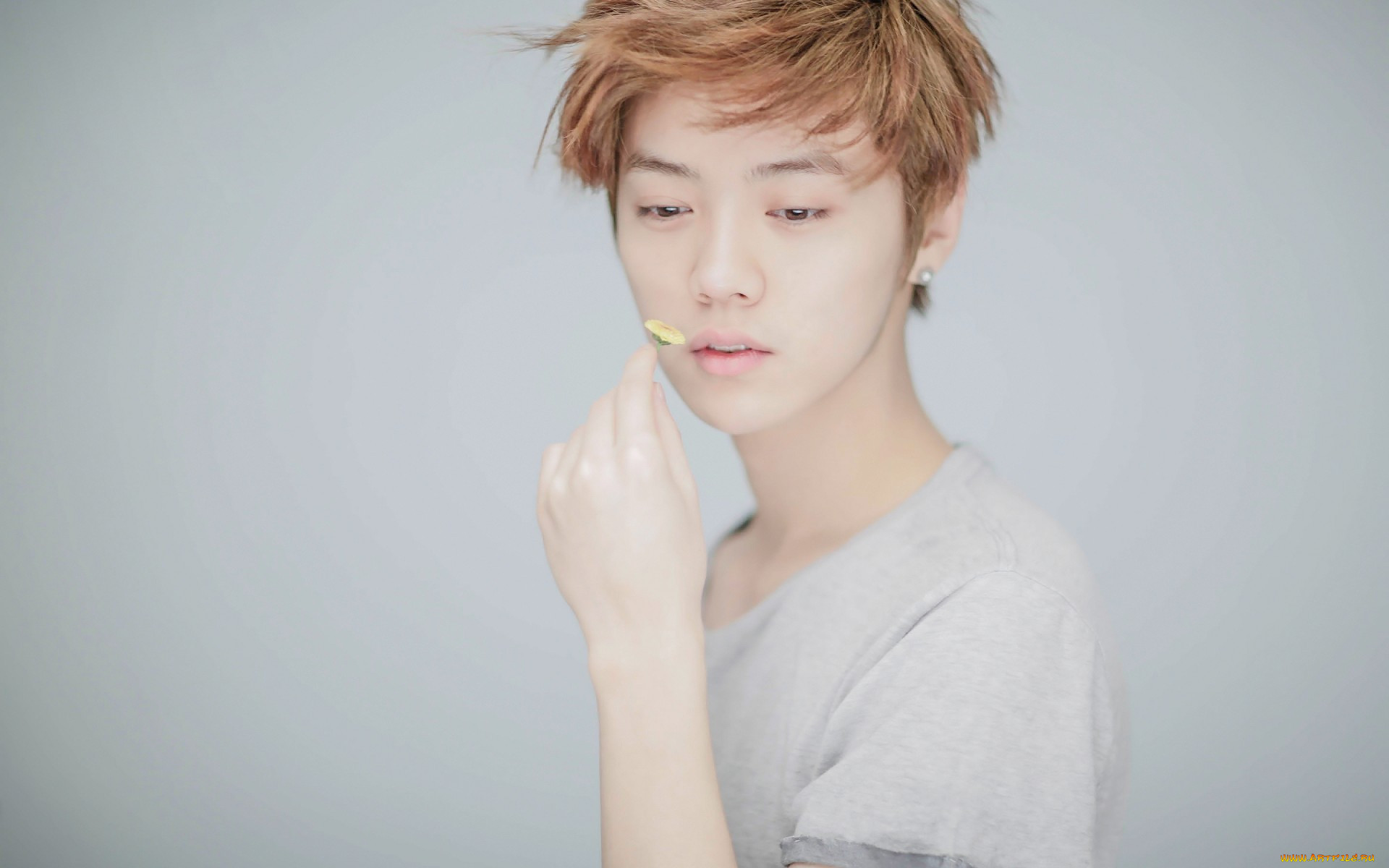 , - k-pop, luhan, exo, kpop
